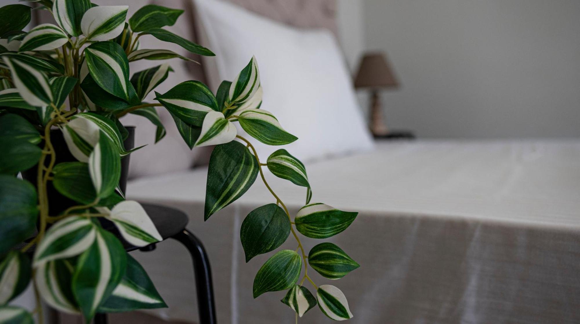 Nikitas Apartments & Suites Kanáli Kültér fotó
